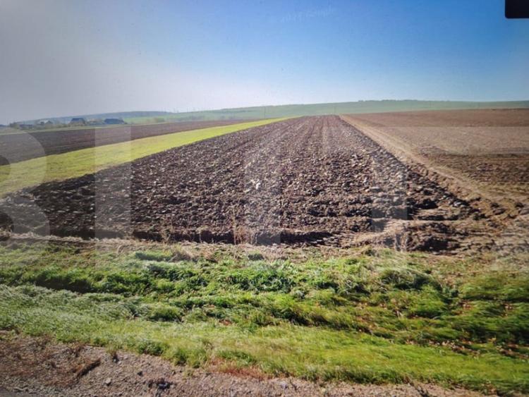 Teren de 15500 mp, în Brăești