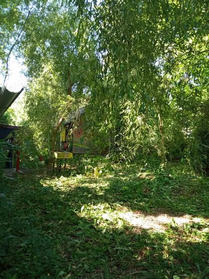 Teren de 1000 mp, în Vărbila