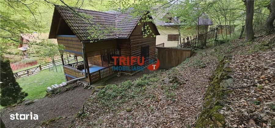 Casă cu 4 camere cu Teren 891 Mp în Ighiu