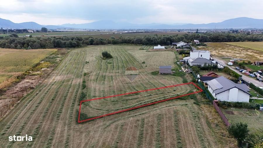 Teren 799mp Sanpetru / Strada drumul cu plopi - 2