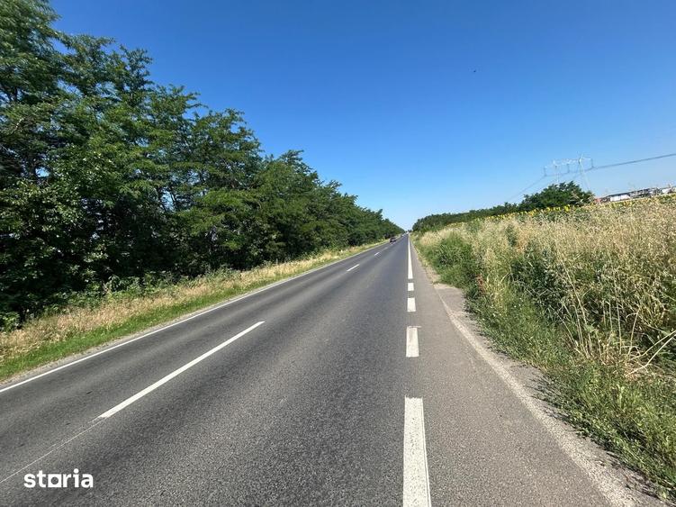Teren de 11000 mp, în Frumușani