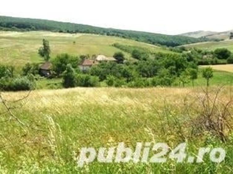 Teren de 6825 mp, în Ortelec