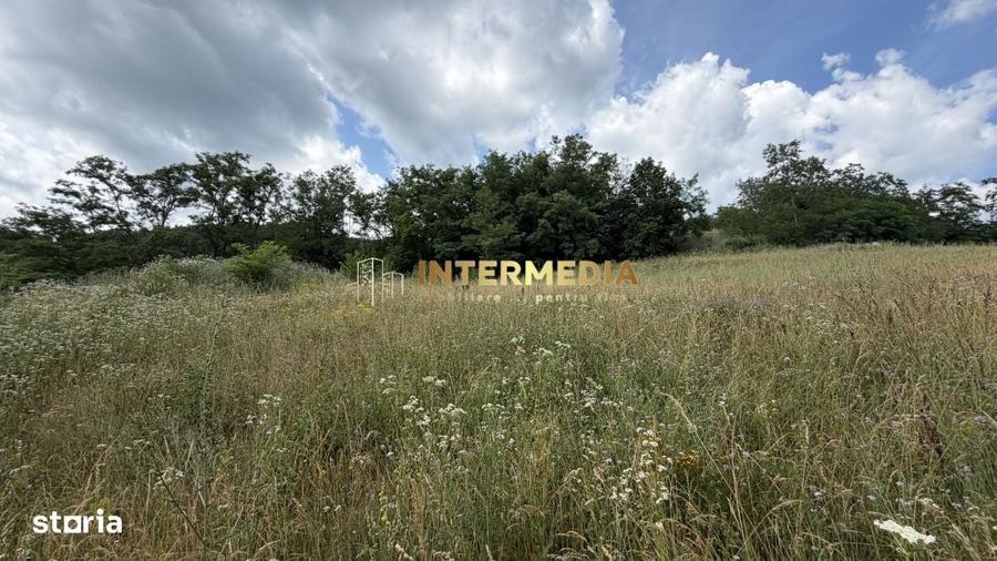 Spațiu comercial, în Văleni