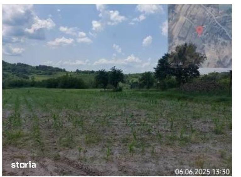 Teren de 1317 mp, în Bustuchin