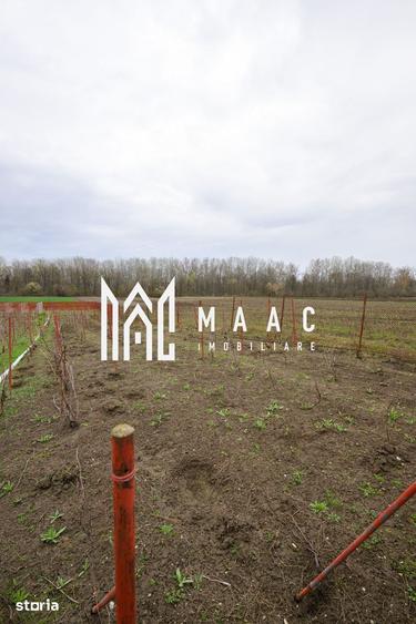Casă cu 3 camere cu Teren 2087 Mp în Fârtățești