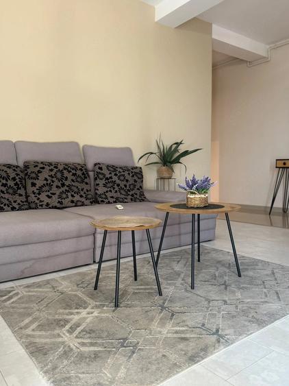 Apartament cu 2 camere semidecomandat în Braytim