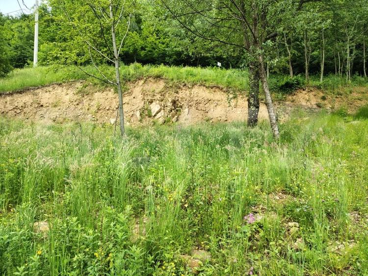 Teren Construcții extravilan de 1800 mp, în Someșu Rece