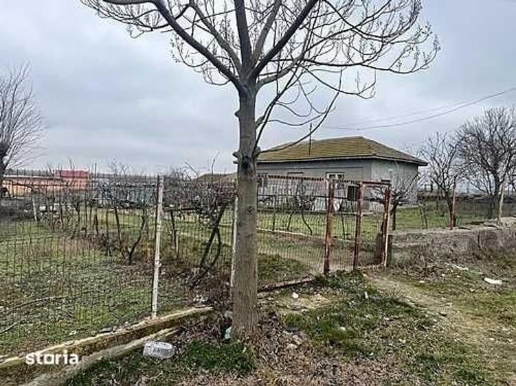 Teren de 10000 mp, în Cogealac