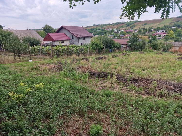 Teren de 900 mp, în Vânători