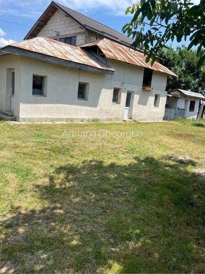 Casă cu Teren 3600 Mp în Coada Izvorului