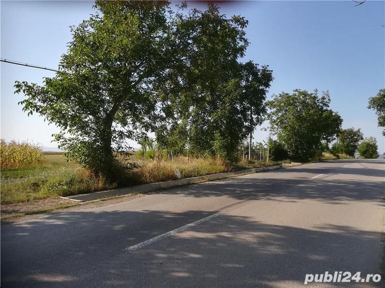 Teren de 5000 mp, în Cristești