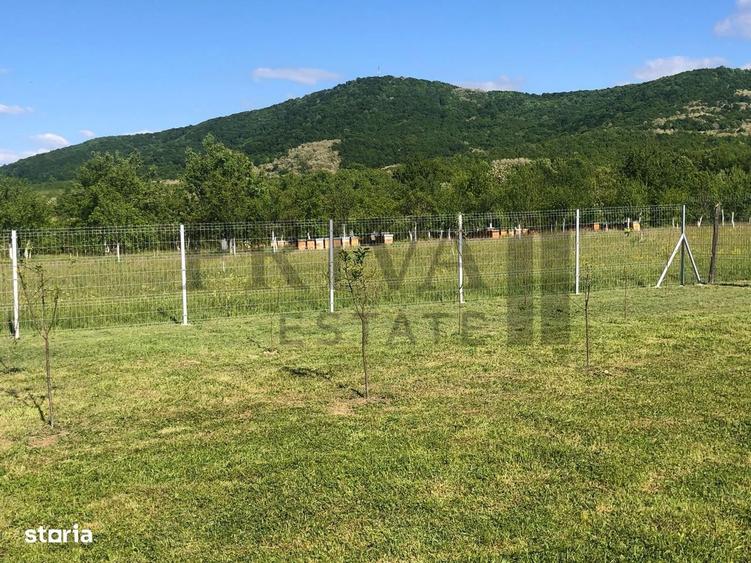 Teren de 800 mp, în Birda
