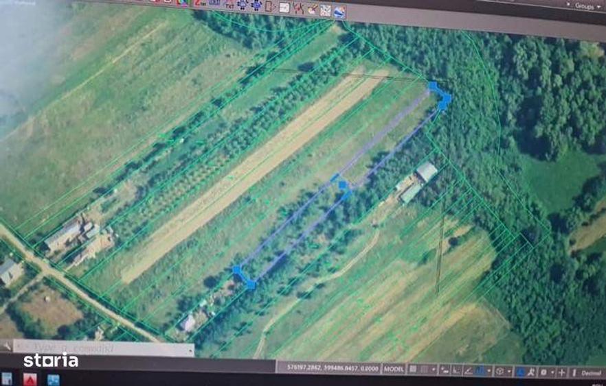 Teren de 3000 mp, în Cocorăștii Mislii