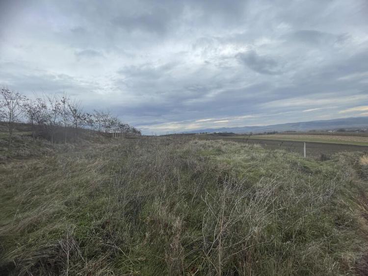 Teren de vanzare, 2900 mp, Cuzdrioara - 2