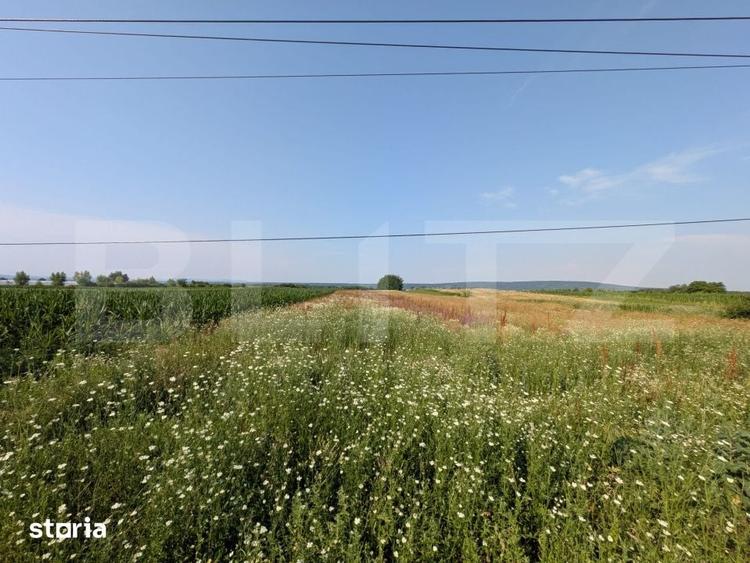 Teren de 3000 mp, în Comișani