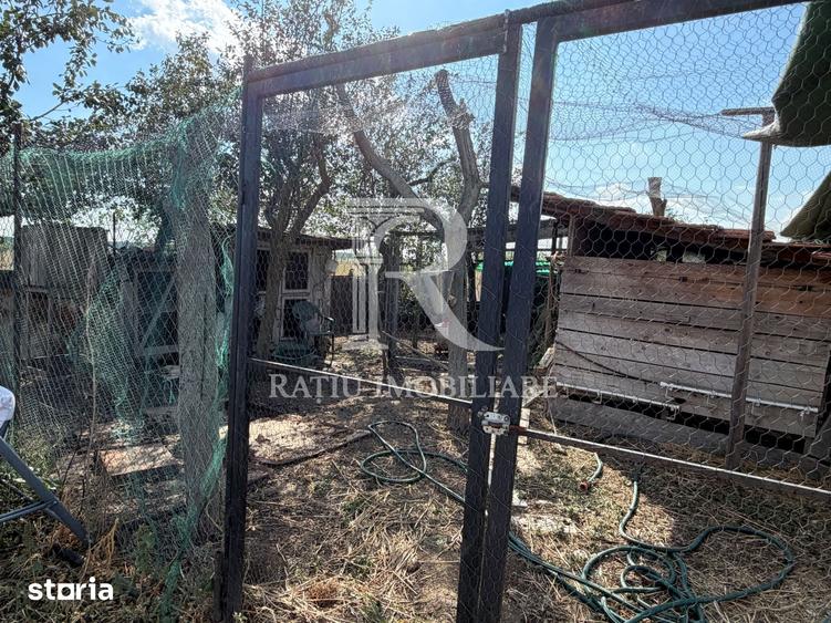 Casa cu livada, gradina ?i anexe, | Les | Oradea - 14