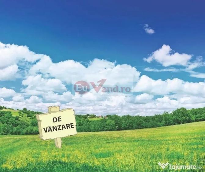 Teren în Vânători
