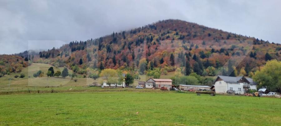 Teren Construcții de 1000 mp, în Zărnești