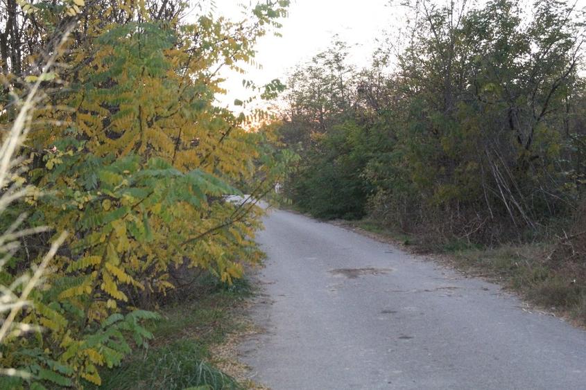 Teren Oază de liniște pt casa de vacanță sau pensiune - 7
