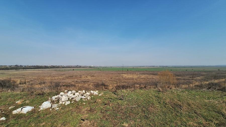 Teren Construcții intravilan de 6650 mp, în Bălăceanca