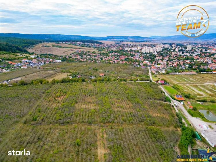 Teren de 6510 mp, în Ilieni