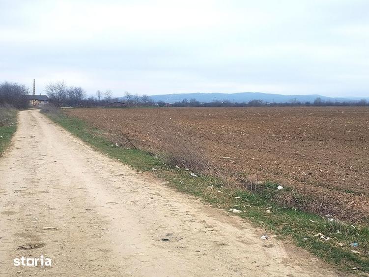 Teren de 15000 mp, în Gura Ocniței