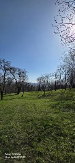Teren de 2000 mp, în Talea