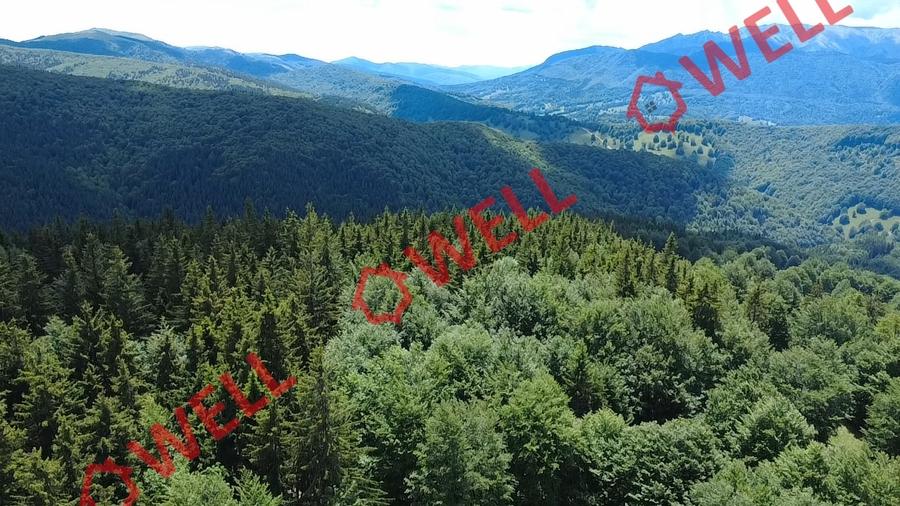 Teren agricol extravilan de 23000 mp, în Vama Buzăului