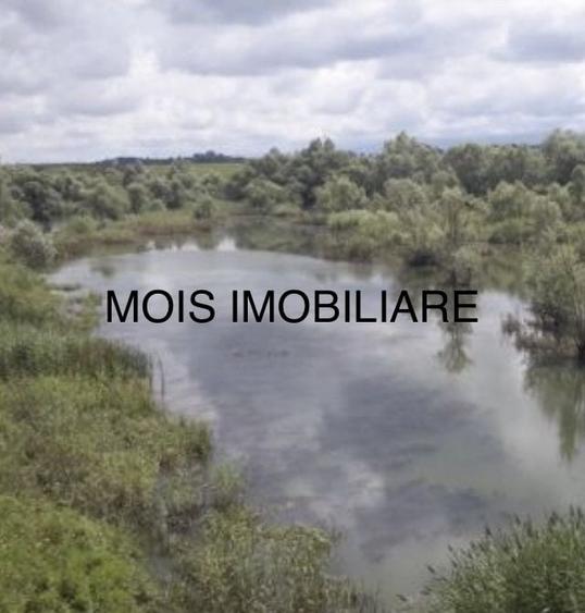 Teren Construcții extravilan de 58000 mp, în Avrig