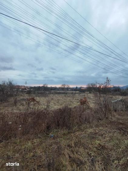 Vand sau schimb teren intravilan, 2700 mp, in Cornesti - 3