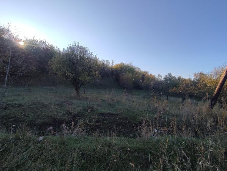 Spațiu comercial, în Borhanci
