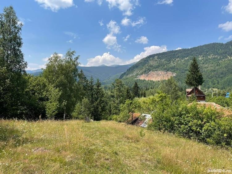 Teren de 4534 mp, în Câmpu lui Neag