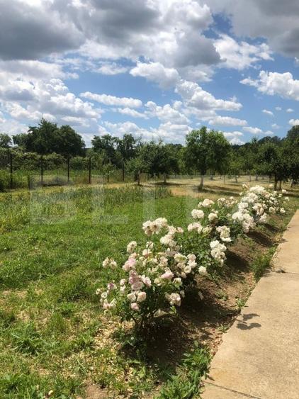 Casă individuală cu 5 camere cu Teren 1732 Mp în Valea Mare