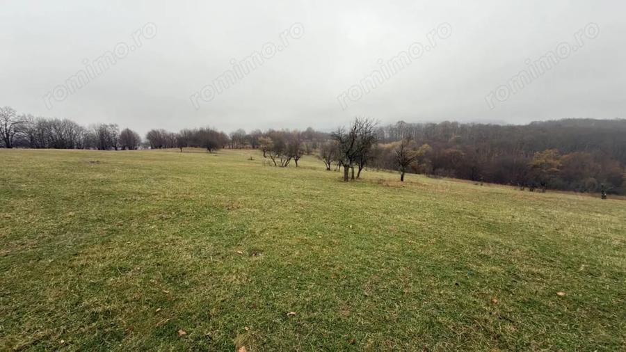 Teren de 35000 mp, în Cisnădioara