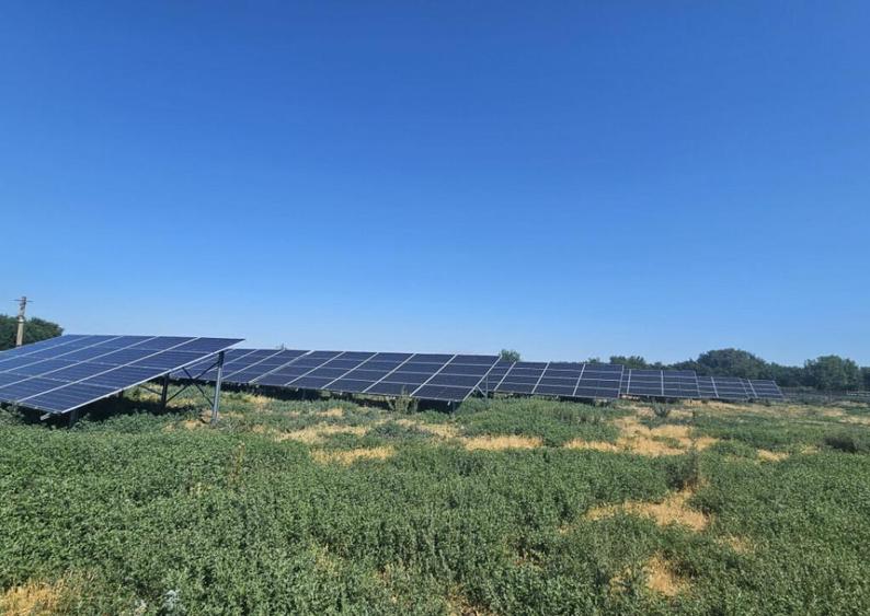 Proprietate agroindustriala, hala 1590 mp, teren 28000 mp, p - 9