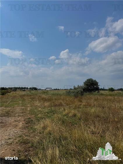Teren de 5000 mp, în Central