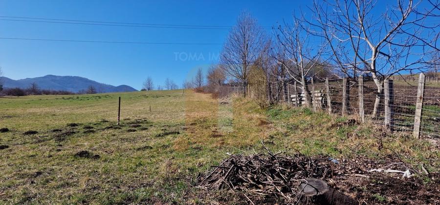 Teren Construcții intravilan de 4000 mp, în Alexandru cel Bun
