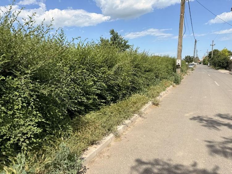 Teren de 4009 mp, în Sălcioara