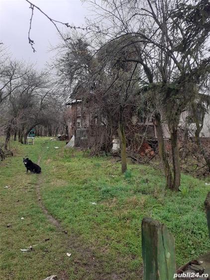 Teren în Călinești