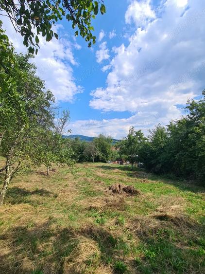 Teren de 3900 mp, în Central