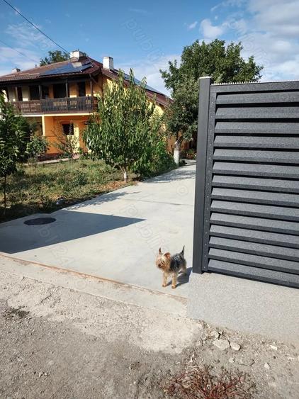 Casă cu 6 camere cu Teren 744 Mp în Vernești