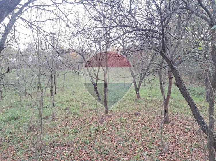 Teren de 3500 mp, în Poiana