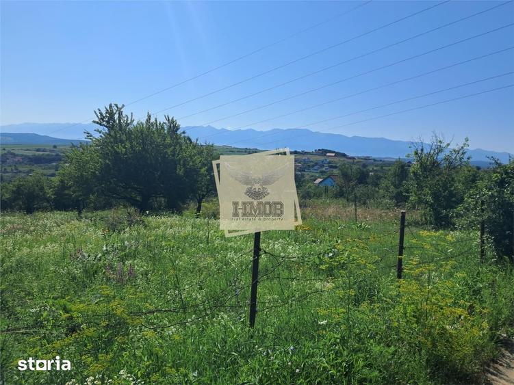Teren de 960 mp, în Roșia