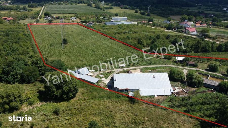 Teren de 40672 mp, în Cepari
