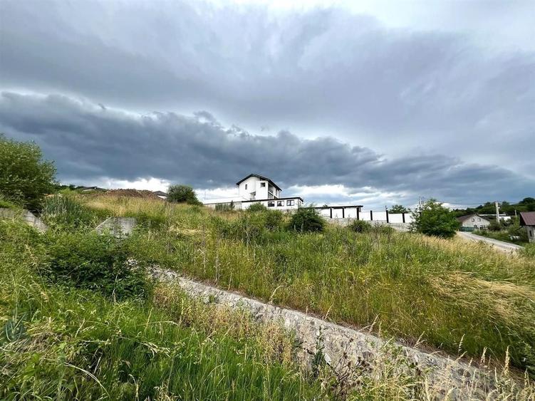Teren agricol extravilan de 1570 mp, în Est