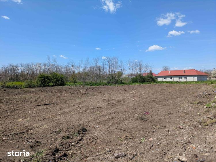 Teren de 3954 mp, în Istria