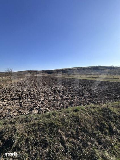 Teren de 5800 mp, în Central