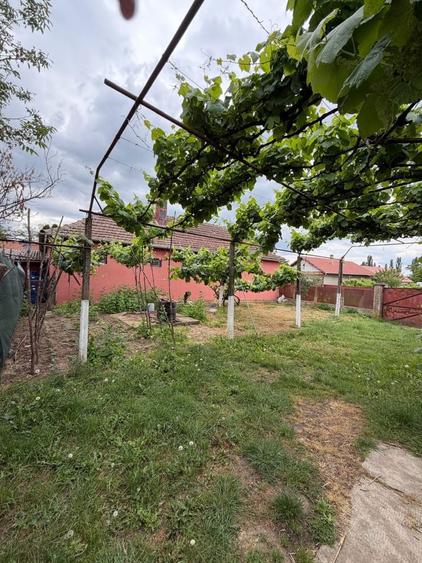 Casă cu 3 camere în Diosig