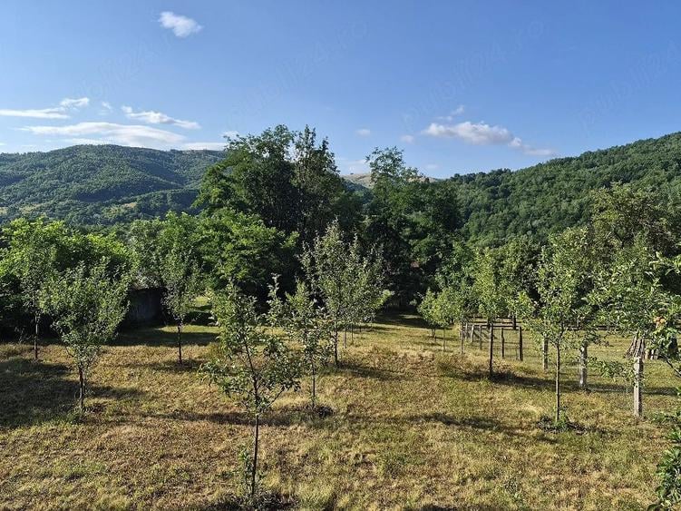 Teren de 1474 mp, în Sălciua
