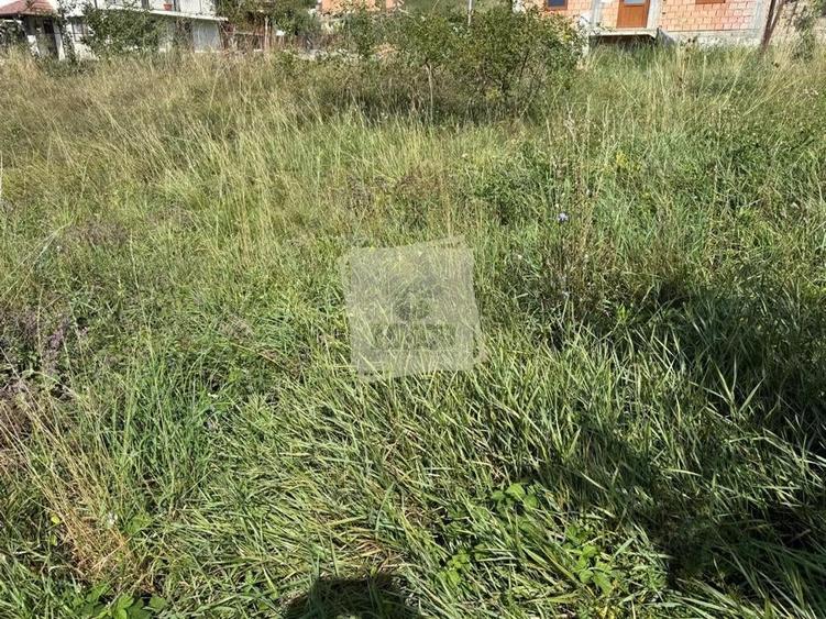 Casa individuala cu 2 camere si 495 mp teren in Sura Mare - 5